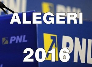 Liberalii şi-au stabilit candidaţii la …