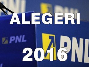 Liberalii şi-au stabilit candidaţii la alegerile din 2016. Vezi cine sunt aceștia!