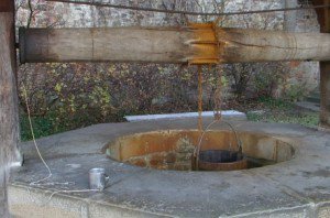 Seminar de educaţie ecologică, organizat …