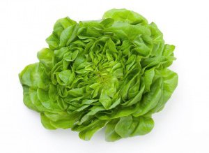 Salata verde din magazine este …