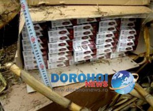 Tânăr din cercetat în stare …