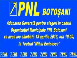 Alegeri generale astăzi în Organizația municipală PNL Botoșani