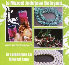 Muzeul Judeţean: Expoziţie cu vânzare …