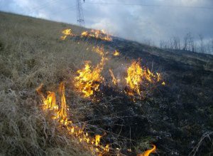 Focuri scăpate de sub control