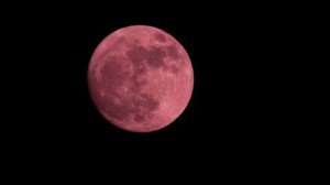 Fenomen astronomic inedit: Luna Roz, …