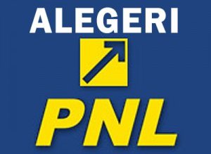 Alegeri atăzi în Organizația Județeană …