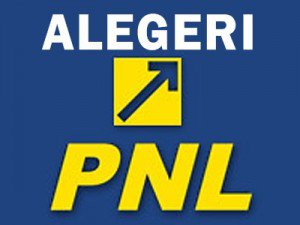 Alegeri atăzi în Organizația Județeană PNL Botoșani