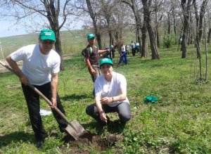 Deputatul PSD Tamara Ciofu a …