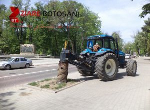 Acțiuni de plantare de pomi …