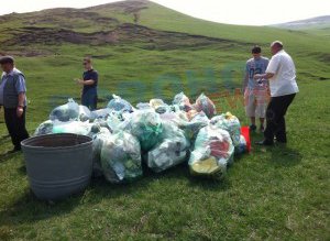 Acţiune de ecologizare a PSD-iştilor …