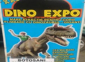 Cea mai mare expoziție de …
