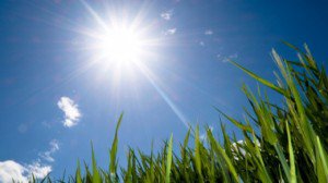 Cum arată prognoza meteo pentru …