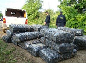 23 de focuri de armă …