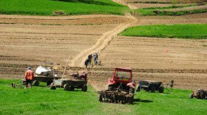 Şedinţele Comisiei de Agricultură din Parlamentul României vor avea loc la Botoşani