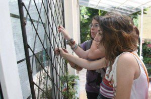 BAC 2013: Vezi procentul de …