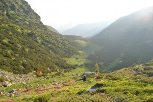 Festivalul Sporturilor Montane „Parângul Mare” …