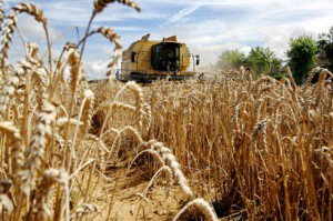 ISU Botoșani: Campanie de recoltare a cerealelor fără incendii!