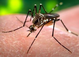 Medicii, în alertă. Virusul ucigaș …