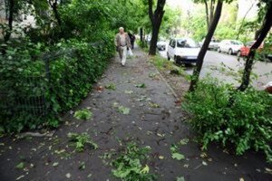 Pompierii intervin pentru înlăturarea efectelor …