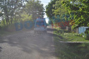 Copil din Hilișeu-Horia atacat de …