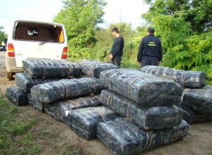 Poliţia de Frontieră Botoșani, a …