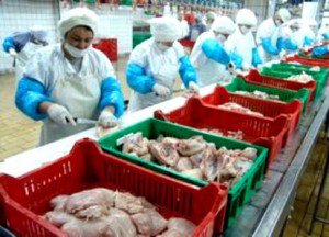 Aproximativ 150 de tone de …