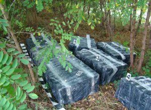 Ţigări de contrabandă de peste …