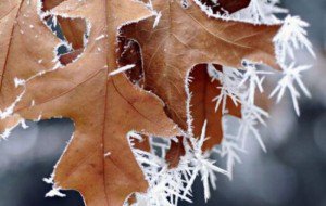 Temperaturile au scăzut sub limita …