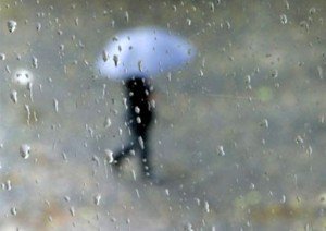 Cod galben de ploi şi …