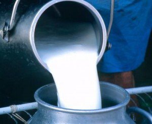 CAP-urile, singura şansă a micilor producători de lapte