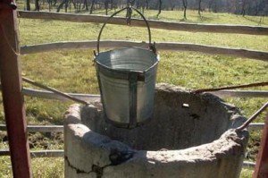 MMSC a informat botoșănenii prin …