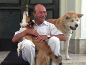Președintele Traian Băsescu a promulgat, miercuri, legea privind eutanasierea câinilor fără stăpân