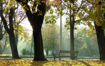 Vremea, în continuă răcire. Temperaturile …