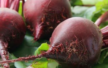 Sfecla roșie, medicament natural