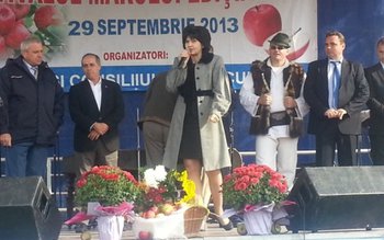 Festivalul mărului de la Curtești …