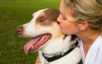 Toţi proprietarii de câini sunt …