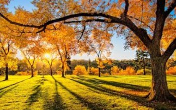 Vești bune de la meteorologi! …