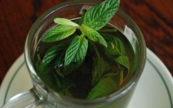 Menta combate răcelile, dizolvă pietrele …