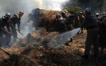 Furaje aprinse de un fumător …