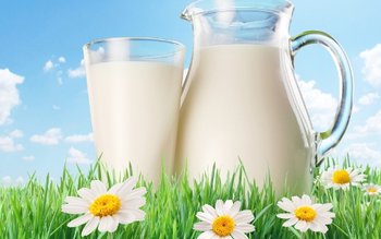 De ce n-are laptele românesc …