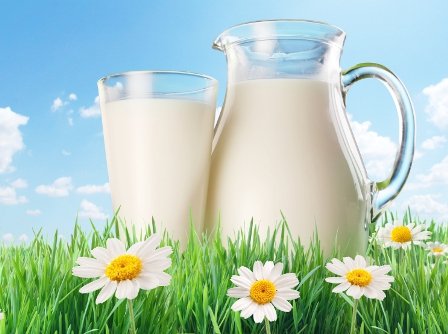 De ce n-are laptele românesc grăsime