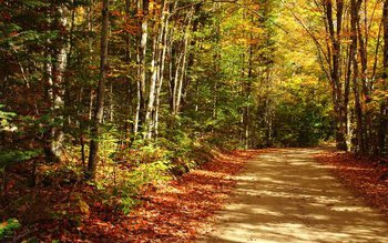 Prognoza Meteo: Cum va fi …