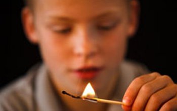 Zece tone de furaje distruse …