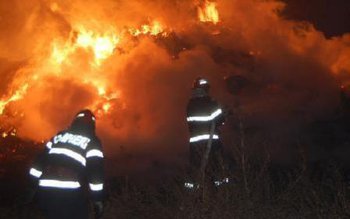 Zeci de tone de furaje …