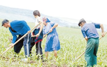 Ajutoare pentru agricultori deblocate sau …