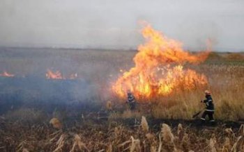 Căruță cu furaje incendiată intenționat …