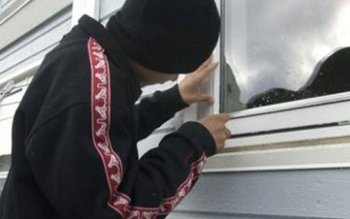 Minorul haiduc din Botoşani. Un …