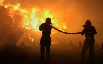 Tone de furaje distruse într-un …