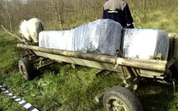 Ţigări de contrabandă în valoare …