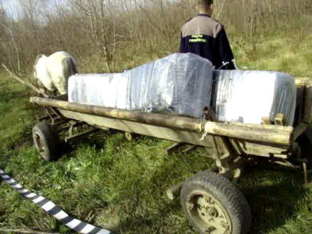 Ţigări de contrabandă în valoare de 50.000 lei reţinute de poliţiştii de frontieră